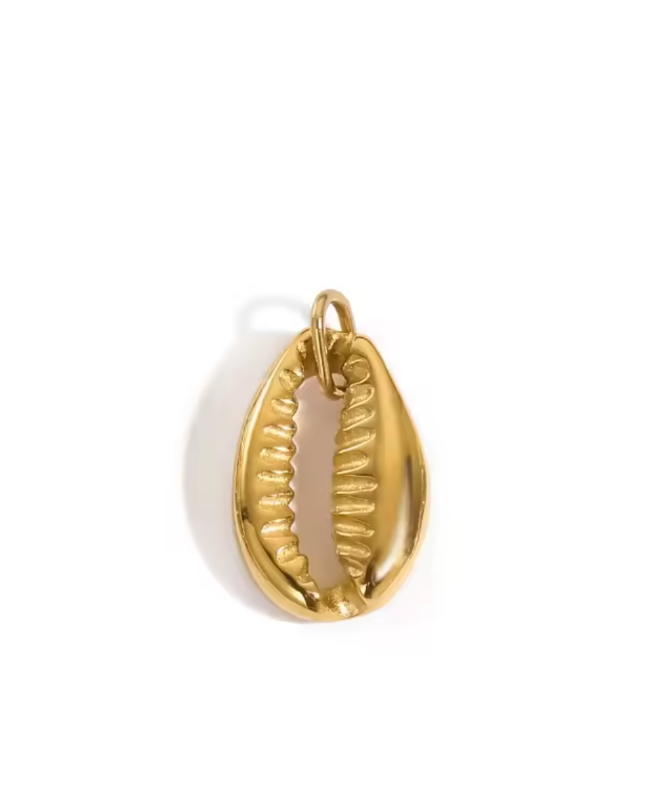 Zaya Shell