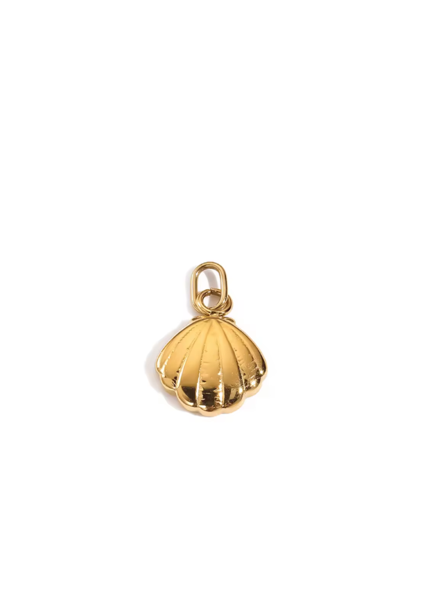 Aurea Shell