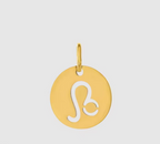 Zodiac Charms