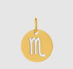 Zodiac Charms