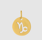 Zodiac Charms