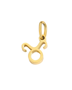 Constellation Charms