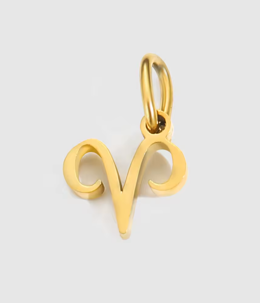 Constellation Charms